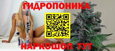 СК Тулун
