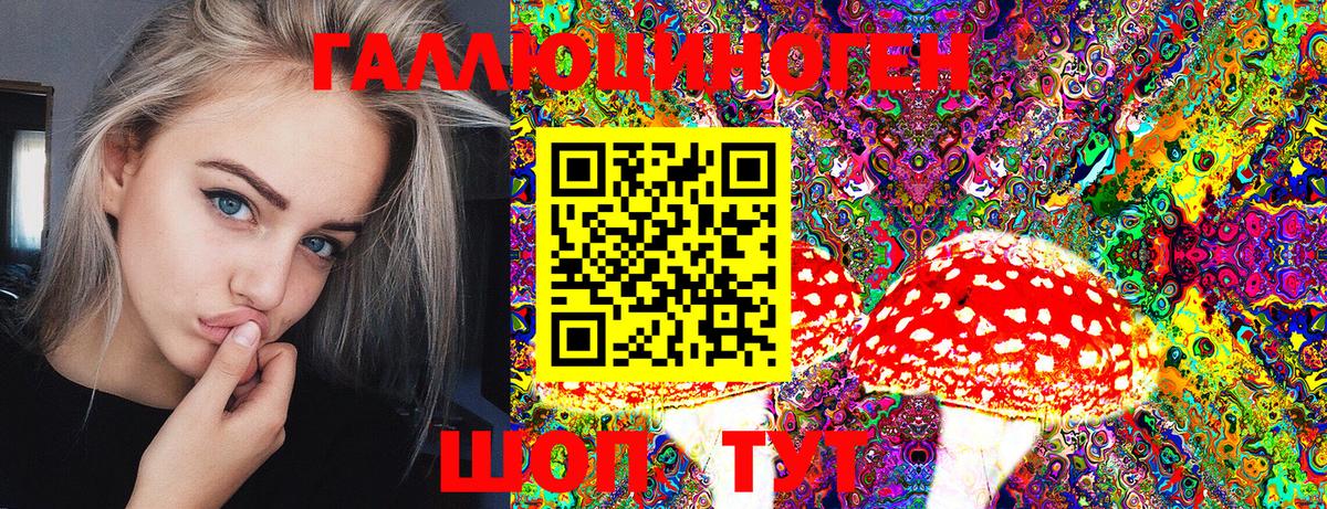 Галлюциногенные грибы Psilocybine cubensis  Вход с VPN  Псилоцибиновые грибы мицелий  Мыски 